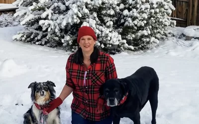 Caring for Your Senior Dog: A Guide to Their Golden Years